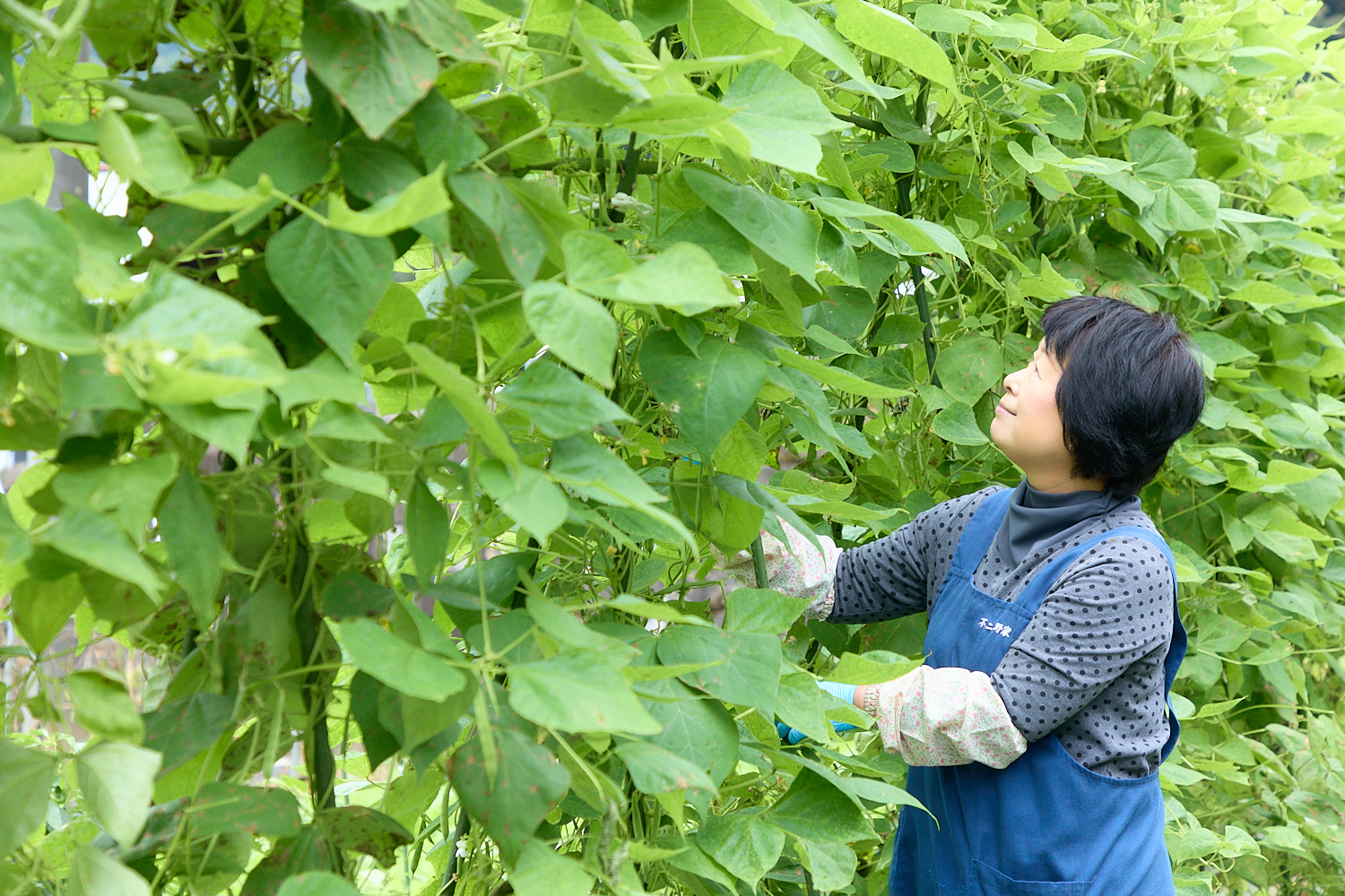 6e58a11cdcb2db45ec8306da99c6efcf