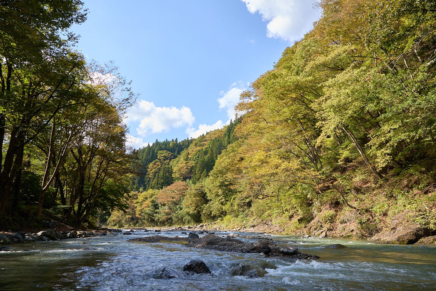 7dcff89dc46212e8376e0f67348a3f35