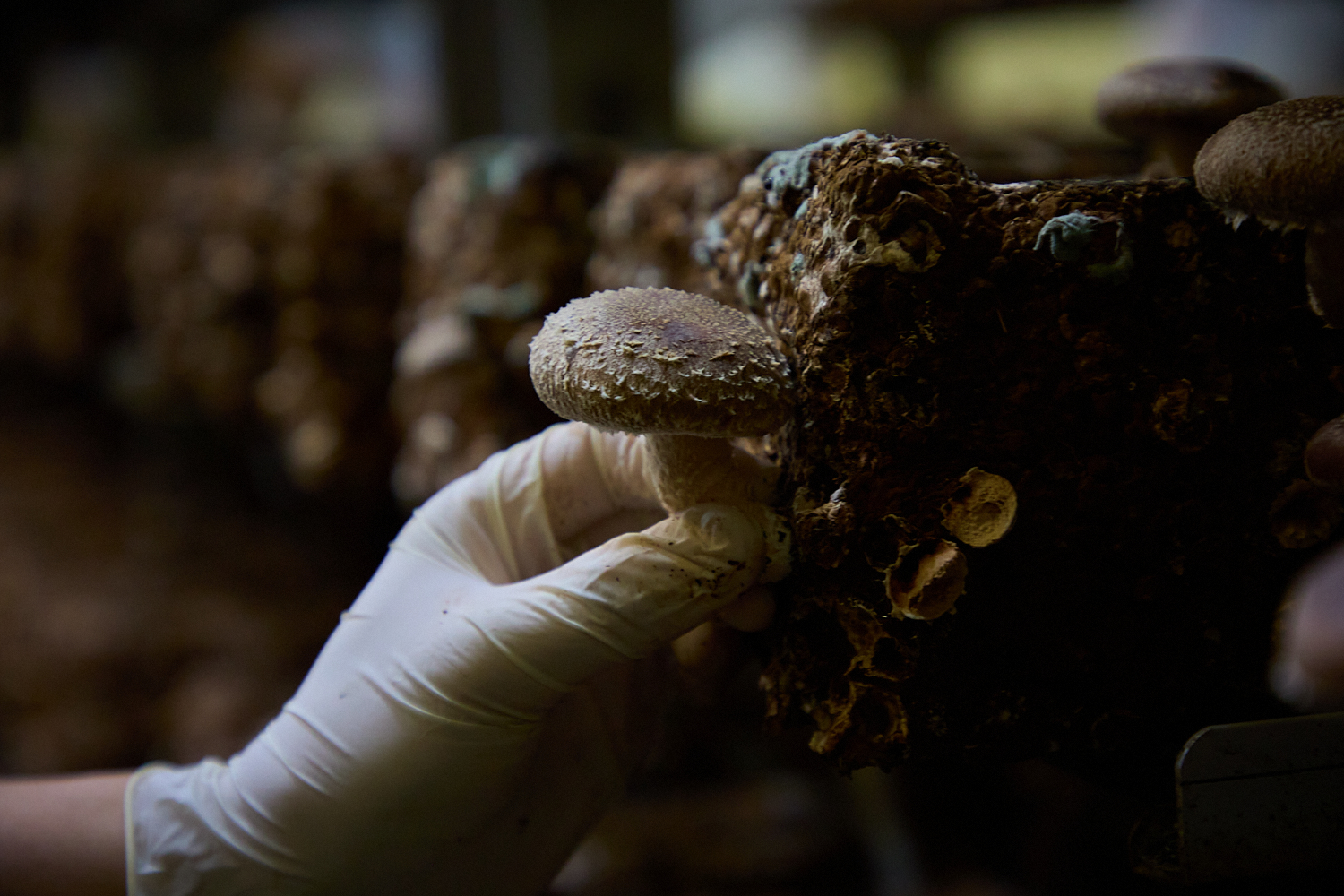 8bec7d8c47a354db2f59de15e1d3acd4