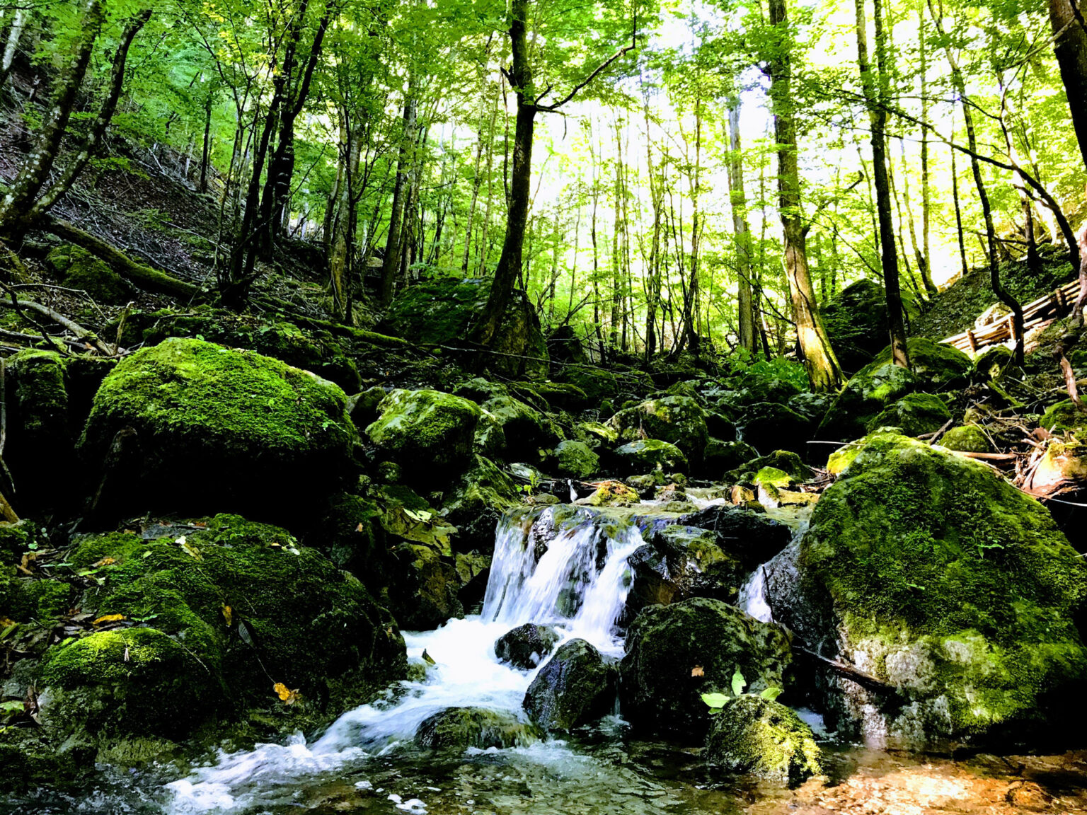 e1d24c06ecf105634a02d193d3d4558f