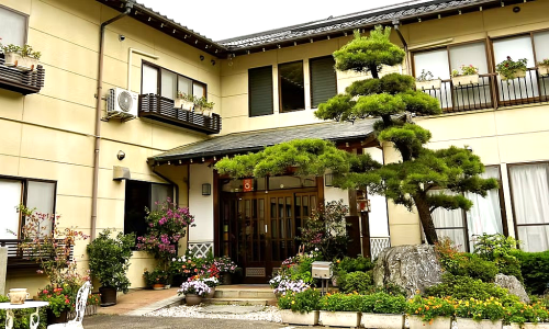 51d7113b966dfb231cc1ffce6f287d7d-1